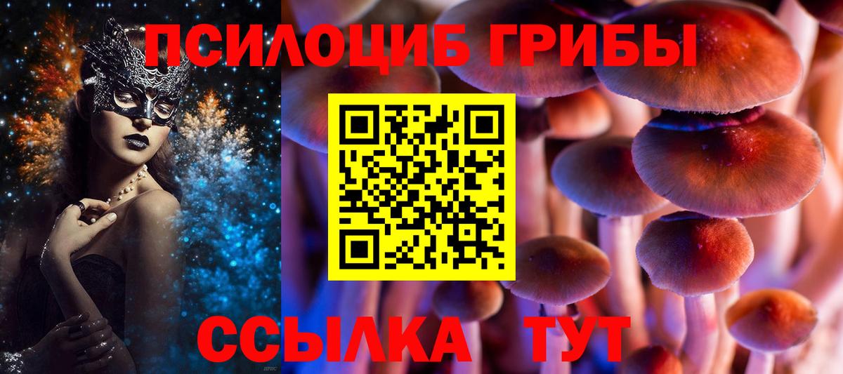 Советск  где найти   Вход с VPN  Псилоцибиновые грибы Cubensis  Галлюциногенные грибы MAGIC MUSHROOMS 